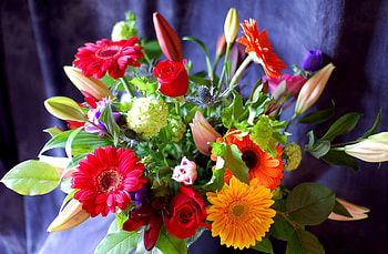 Flowers, Roses, Lilies, Gerberas, Registration, Typography, Bouquet, Gorgeous, Chic, Hydrangea HD wallpaper