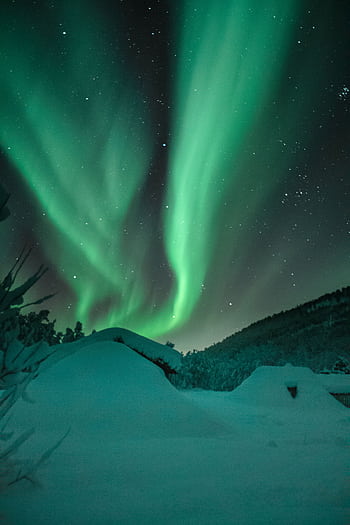 Breathtaking view of aurora borealis dancing over snow-covered terrain. HD phone wallpaper