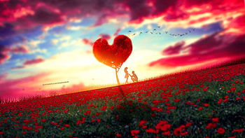 Couple, romantic moment, rose farm, tree, sunset HD wallpaper