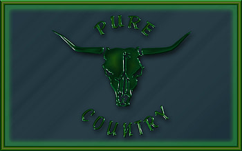 pure - country, skull, framed, grey, green HD wallpaper