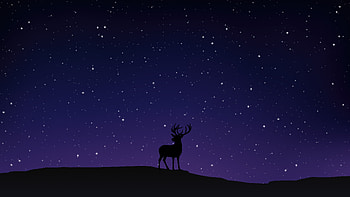 Night Sky And Reindeer, reindeer, night, stars, sky, artist, artwork, digital-art HD wallpaper