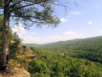 Devil's Den, overlook, yellow rock, devils den, ozarks HD wallpaper
