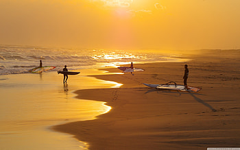 Surfers Wide for HD wallpaper