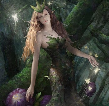 Wood Nymph, fairy, butterflies, flower, elf, forest, tree HD wallpaper