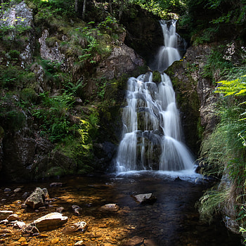 Nature, Stones, Rocks, Waterfall, Branches, Flow, Stream HD phone wallpaper