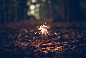 Sparks, Miscellanea, Miscellaneous, Foliage, Sparkler HD wallpaper