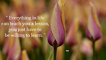 Life, words, quotes, thoughts, lessons, nature, flowers HD wallpaper