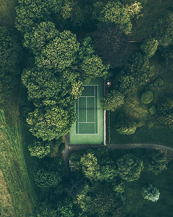 Trees, View From Above, Minimalism, Court HD phone wallpaper