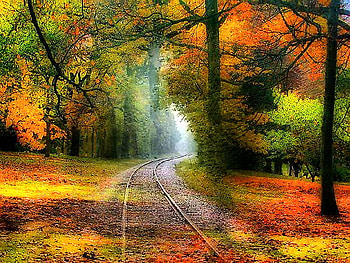 Autumn rails, rails, rays, colors, gold, orange, light, green, trees, autumn HD wallpaper