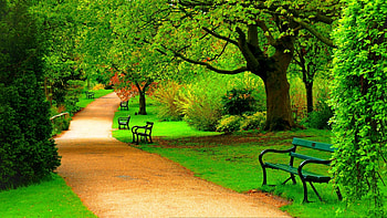 Park (Nature), Green spring park, , Background HD wallpaper