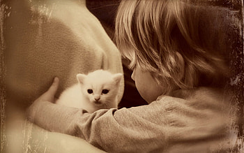 Miscellanea, Miscellaneous, Cat, House, Girl, Style, Mood HD wallpaper
