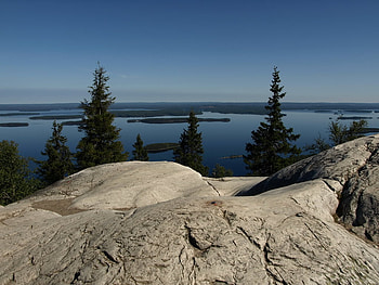 National park,Koli, finland, trees, lake, park HD wallpaper