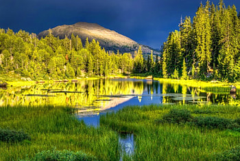 Magical reflections, rays, reflections, shore, magical, trees, golden, landscape, afternoon, beautiful, grass, lake, mountain, mirrored, pretty, sky, lovely, forest HD wallpaper