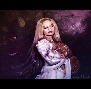 KITTY-CAT, purple, kitty, violet, love, cat, friends, woman HD wallpaper