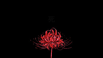 Tokyo Ghoul Red Spider Lily[1920×1080] : HD wallpaper