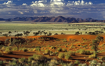 Plants, Nature, Trees, Mountains, Sand, Desert HD wallpaper