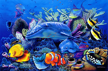 Animals, Dolfins, Sea, Fishes HD wallpaper