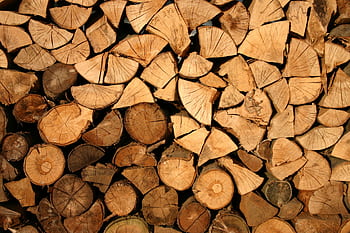 Close-up of stacked firewood showing natural textures and wood grain patterns. HD wallpaper
