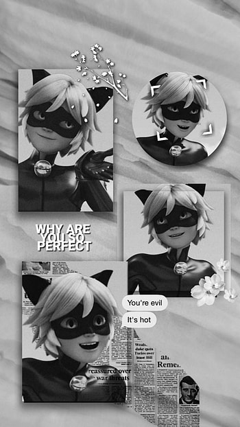 Chat Noir, animado, dibujo HD phone wallpaper