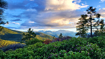 Shasta-Trinity area, California, trees, clouds, landscape, sky, mountains, usa HD wallpaper