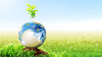 Go Green, Earth Day celebration, Easy green practices HD wallpaper