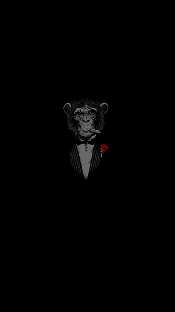 Black ape, Creativ, New, Apes, White, Amazing, Cool HD phone wallpaper