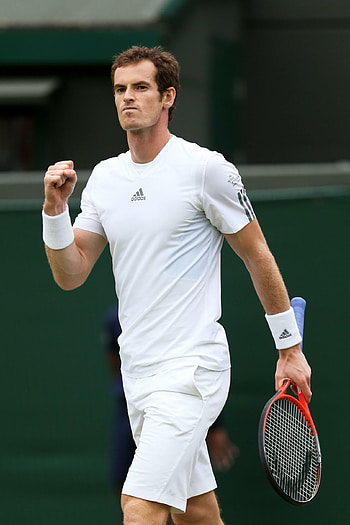 Tennis sport, Andy Murray, Skilled player, Tennis champion HD phone wallpaper