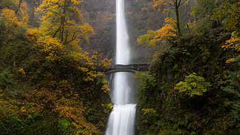 Waterfall From Mountain Bridge Yellow Green Leaves Trees Bushes Nature HD wallpaper