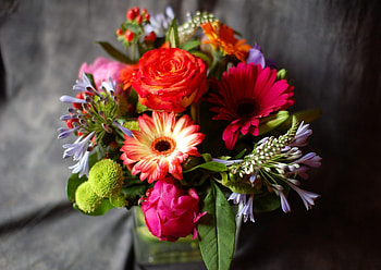 Flowers, Roses, Chrysanthemum, Gerberas, Bouquet, Composition, Agapanthus HD wallpaper