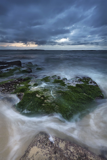Nature, Sea, Rocks, Horizon, Moss HD phone wallpaper
