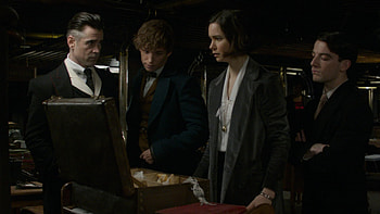Fantastic Beasts, Review, BD screen caps, Moviemans guide HD wallpaper