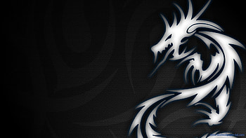 ... kali linux afari ... HD wallpaper