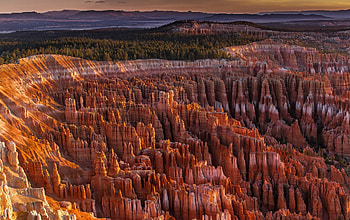 amazing sandstone formation in a canyon, formation, sunlight, snadstone, canyon, forest HD wallpaper