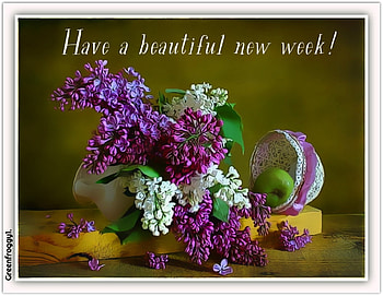 BEAUTIFUL NEW WEEK, BEAUTIFUL, COMMENT, WEEK, CARD HD wallpaper