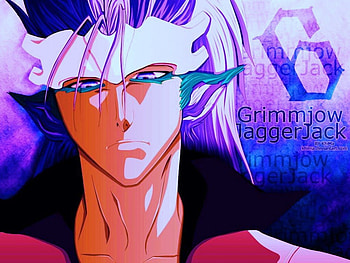 grimmjow, jagger jack, spada, jaggerjack, pantera HD wallpaper
