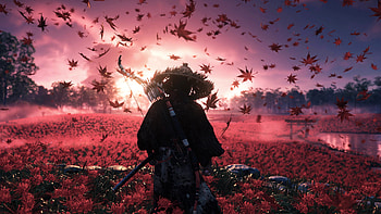 Ghost of Tsushima Ultra, video game, Ghost of Tsushima, fall leaves HD wallpaper