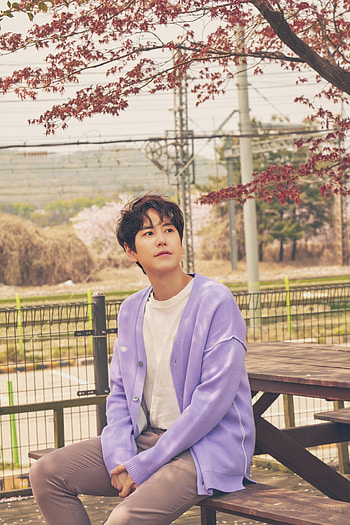 Kyuhyun, Official Thread, Autumn ballad prince HD phone wallpaper