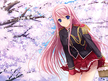 hello, sweet, sexy, cute, lovely HD wallpaper