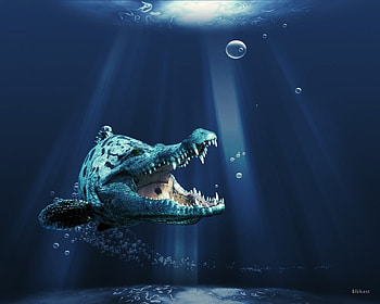 3d dinosaur, 3d, dinosaur, reptile, water, ocean HD wallpaper