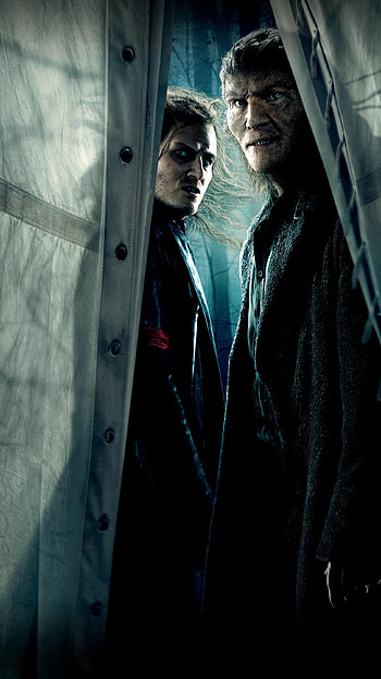 Harry Potter and the Deathly Hallows: Part 1 (2022) movie HD phone wallpaper