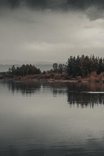 Nature, Water, Trees, Bush, Reflection HD phone wallpaper
