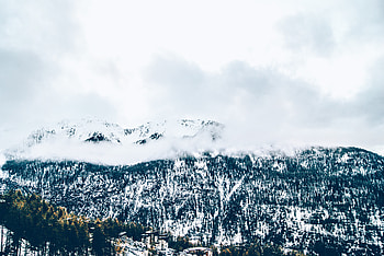 Nature, Trees, Mountains, Snow, Fog HD wallpaper