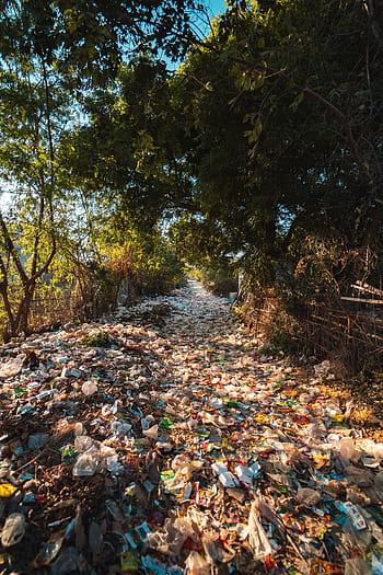 A forest pathway in Myanmar covered with plastic pollution and litter amidst trees. HD phone wallpaper