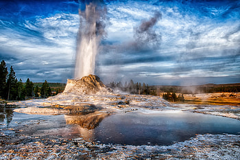 Yellowstone National Park, Nature's landscape, Majestic trees, Wyoming's beauty HD wallpaper