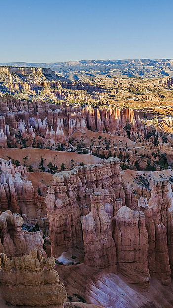 Grand Canyon, Escarpment tree, Bryce Canyon city, Zion National Park HD phone wallpaper
