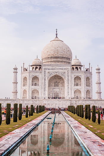 Captivating of the iconic Taj Mahal reflecting in a water pond, Agra, India. HD phone wallpaper