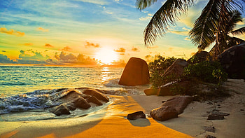 Tropical Beach at Sunset, palm trees, sand, colors, clouds, sky, rocks, sun HD wallpaper