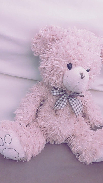 Teddy Bear, Pink Teddy Bear HD phone wallpaper