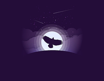 Flight, eagle, moon, night, minimal HD wallpaper