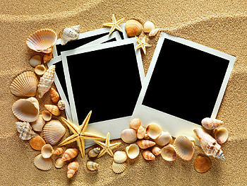 Seashells, starfish, sand HD wallpaper